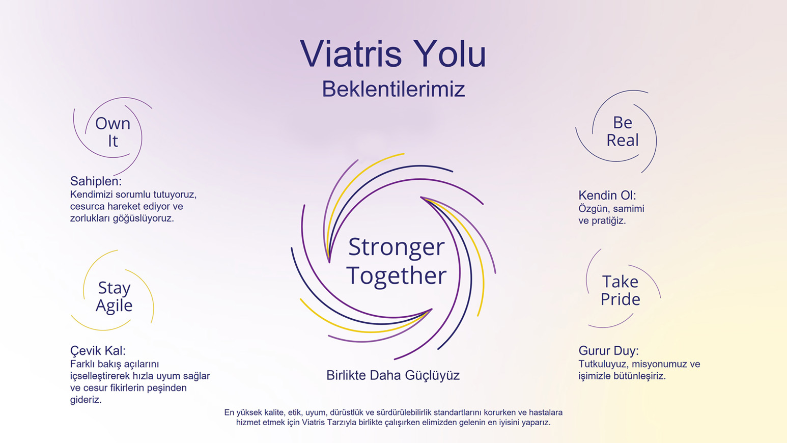 Viatris Yolu, Beklentilerimiz, Diyagram